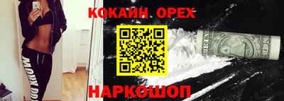 гидропоника Кингисепп