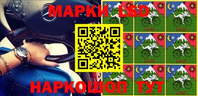 гидропоника Кингисепп