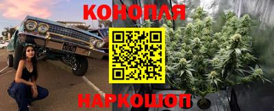 спиды Кимры