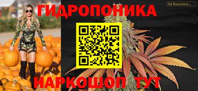 apvp Кинель