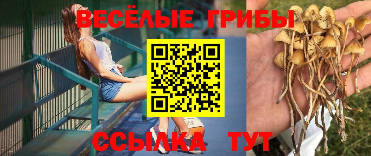 Галлюциногенные грибы мухоморы  Вход с VPN  Киселёвск 